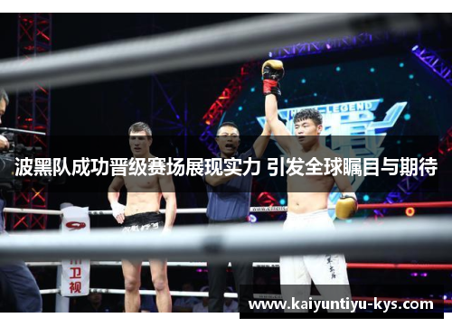 波黑队成功晋级赛场展现实力 引发全球瞩目与期待