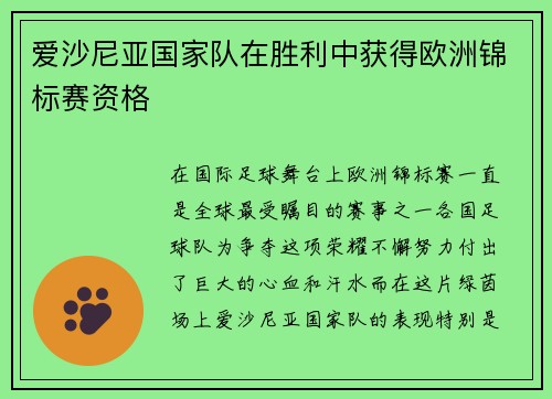 爱沙尼亚国家队在胜利中获得欧洲锦标赛资格