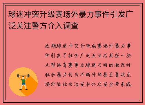 球迷冲突升级赛场外暴力事件引发广泛关注警方介入调查